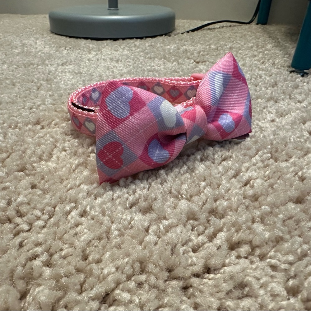 Valentines Day Dog Collar- XS